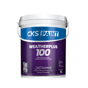 WeatherPlus 100