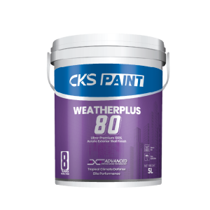 WeatherPlus 80