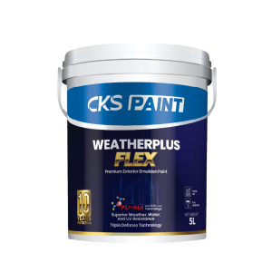 WeatherPlus Flex